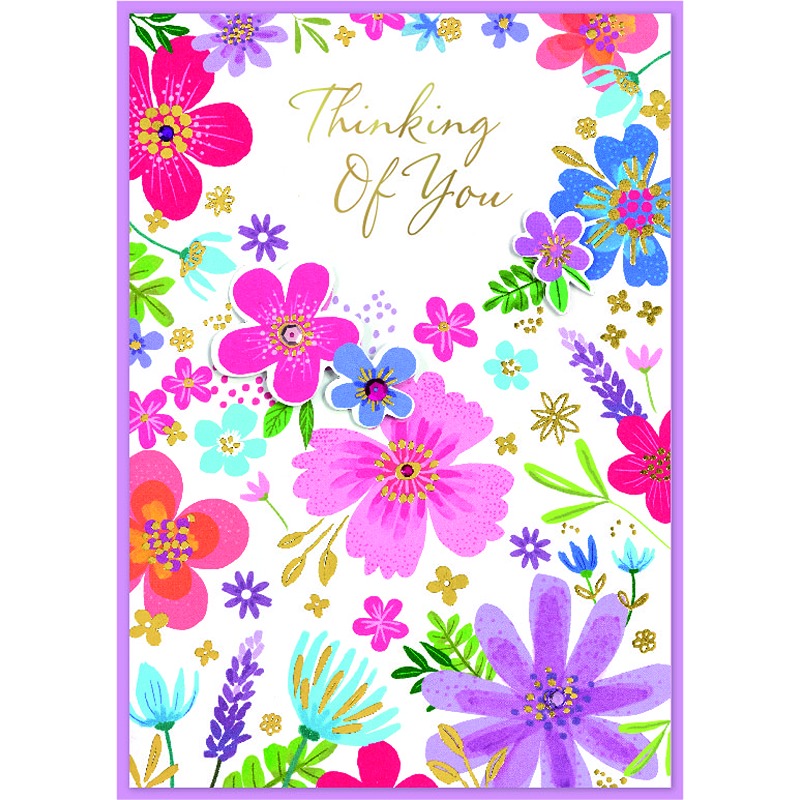 Isabel's Garden - 6 Pack - Thinking Of You - C50 - 33122