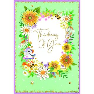 Isabel's Garden - 6 Pack - Thinking Of You - C50 - 33125