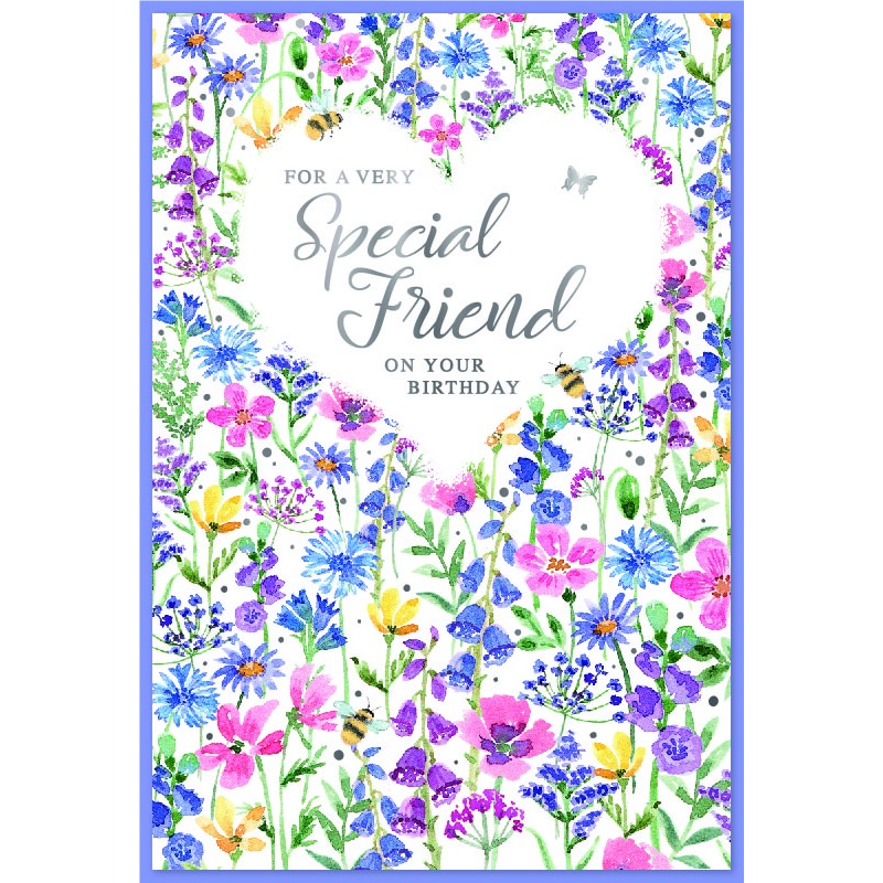 Simon Elvin - Special Friend - Code G - 6pk - SE33241