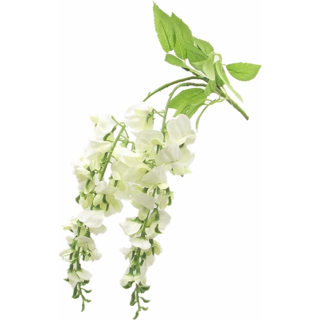 54cm TRAILING WISTERIA IVORY - 004413