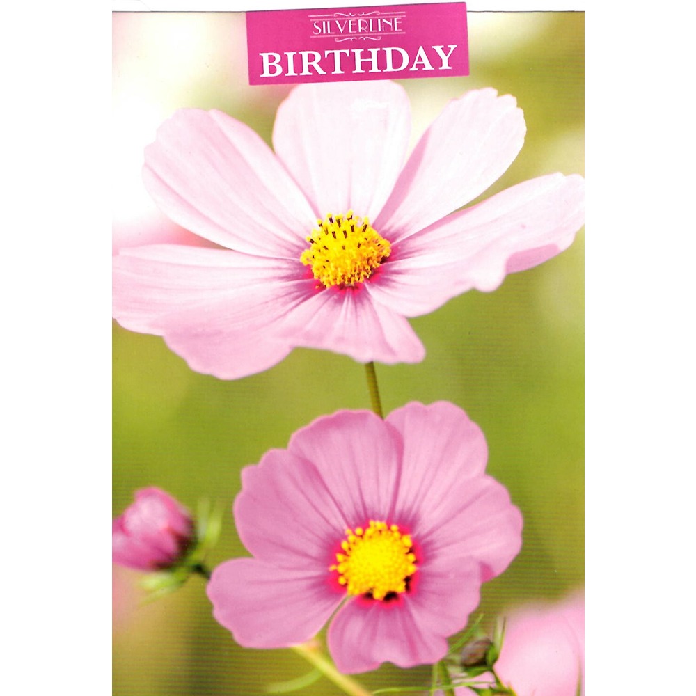 Xpress Yourself - Birthday flower Open - Code 50 - 12pk - 2 Designs - FB041A5 - Image 2