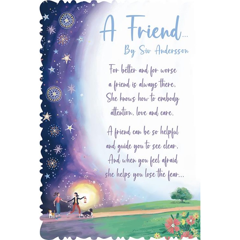 Friend - 6pk - Code 60 - SIV004