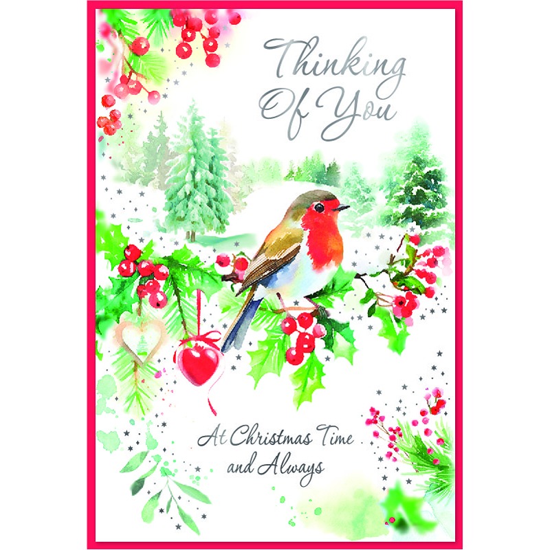 Simon Elvin - Thinking of You - ROBIN C50 - 6 Pack - 32970THINKOFYOU