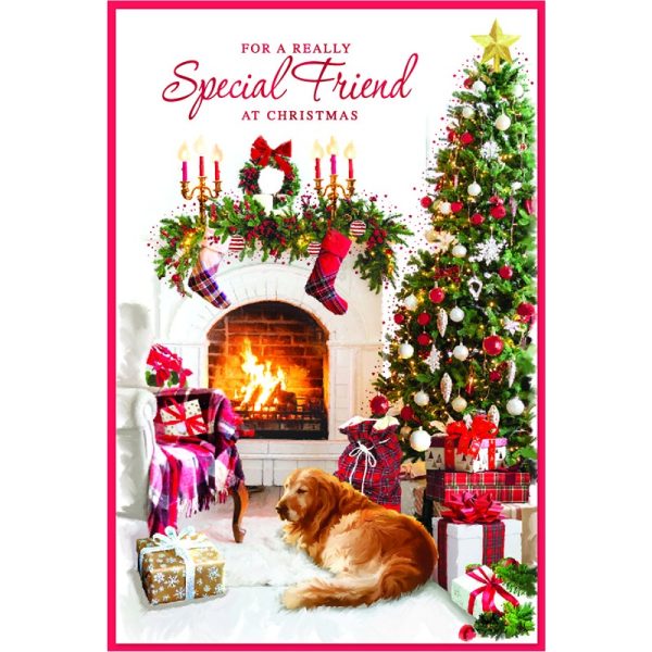 Simon Elvin - Special Friend - TRAD MALE C75 - 6 Pack - 33014SPECIAL F