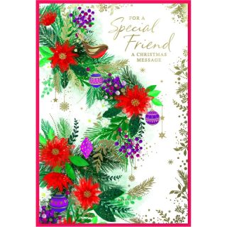 Simon Elvin - Special Friend - ROBIN C50 - 6 Pack - 33070SPECIAL F