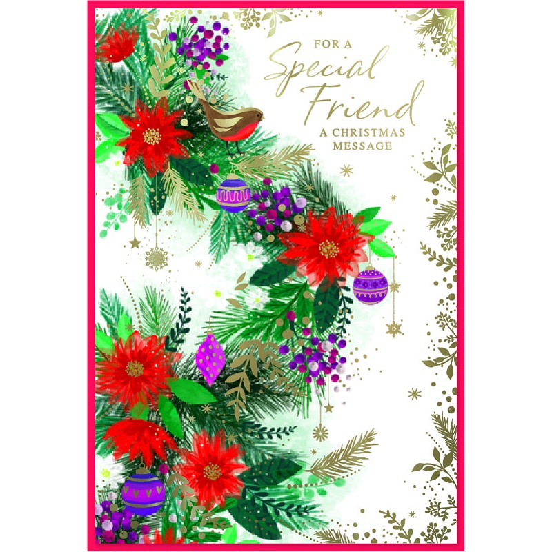 Simon Elvin - Special Friend - ROBIN C50 - 6 Pack - 33070SPECIAL F