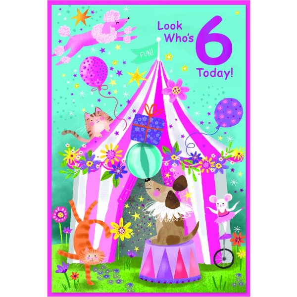 Simon Elvin - Age 6 Birthday - Code 50 - SE33264