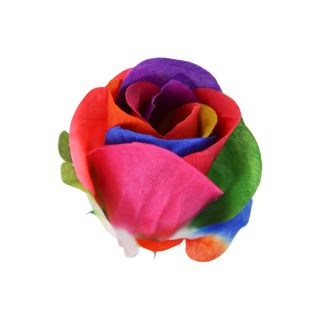 RAINBOW ROSE IN ACETATE - 33601-RC