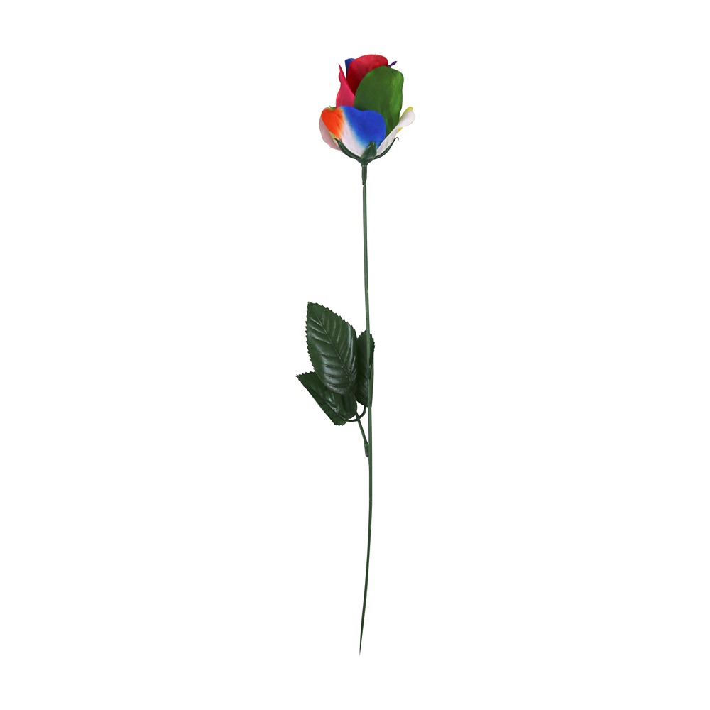 RAINBOW ROSE IN ACETATE - 33601-RC - Image 2