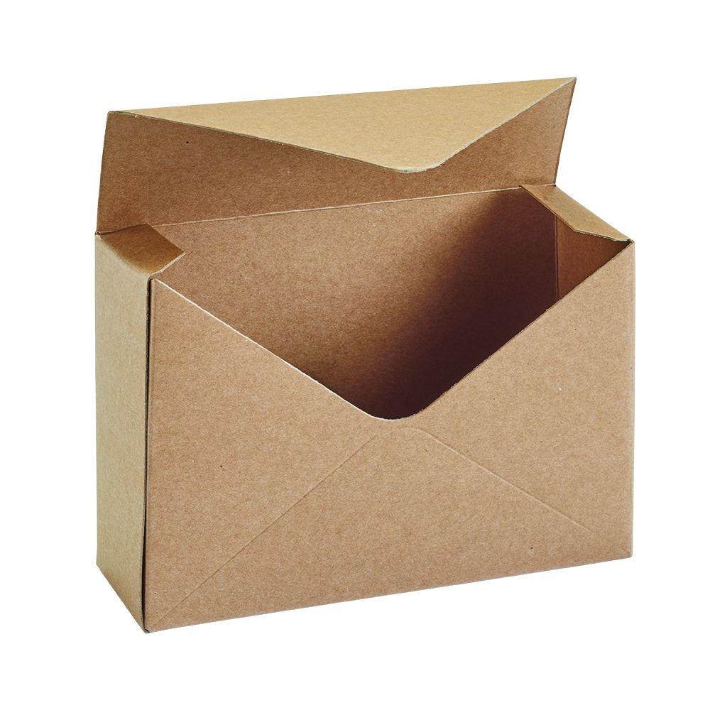 KRAFT ENVELOPE BOX W/LINER