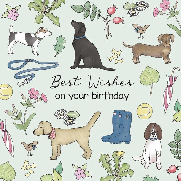 “Kingfisher - Dogs Birthday Wishes - 6k - Code 60 - EL05-DC37