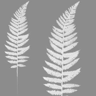 50cm GLITTER WIRE FERN LEAF WHITE - 55854