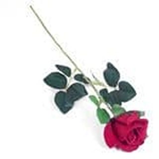 54cm SINGLE VELVET ROSE RED- 812329