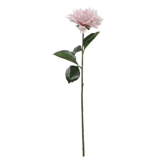 62CM DAHLIA STEM- BL0502
