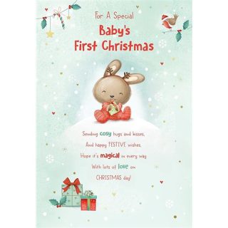 Kingfisher - Baby's 1st Xmas - Code 50 - XA474
