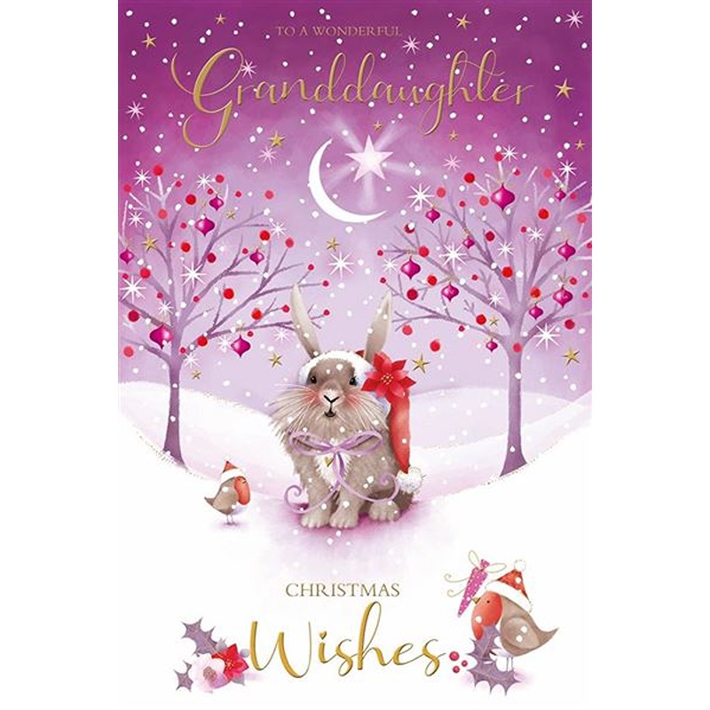 Kingfisher - Granddaughter Xmas - Code 75 - XA317