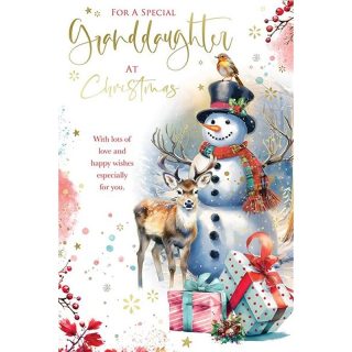 Kingfisher - Grandaughter Xmas - Code75 - XA311