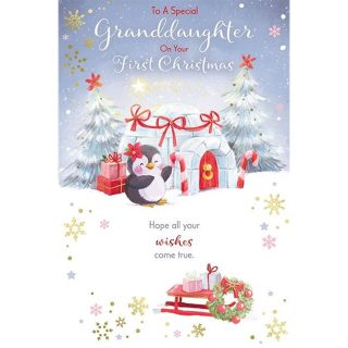 Kingfisher - Granddaughters 1st Xmas - Code 75 - XA560