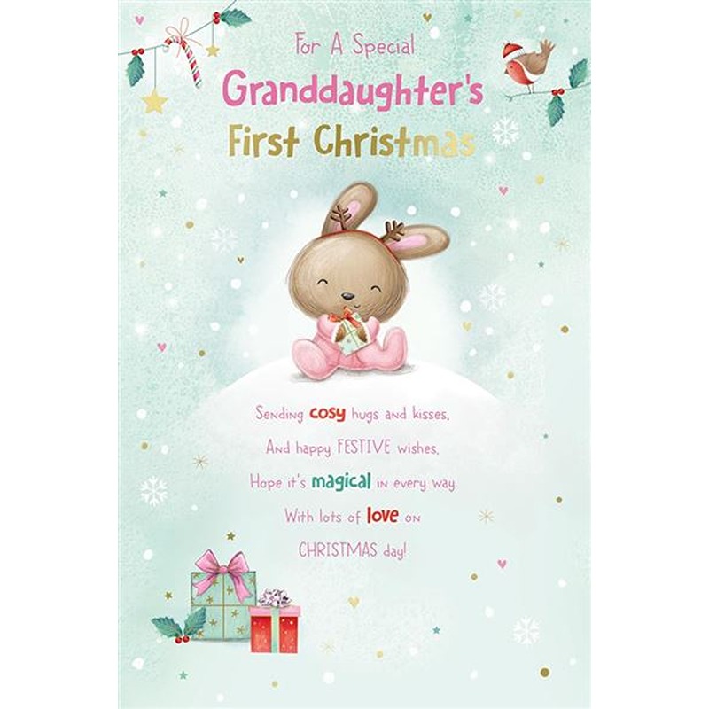 Kingfisher - Grandaughter's 1st Xmas - Code 75 - XA410