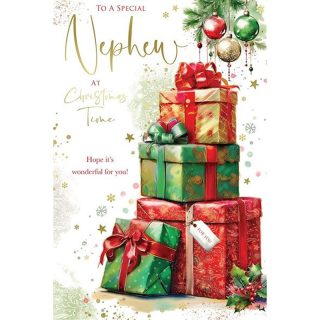 Kingfisher - Nephew Xmas - Code 75 - XA342