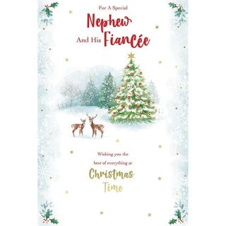 Kingfisher - Nephew And Fiancee Xmas - Code 75 - XA518