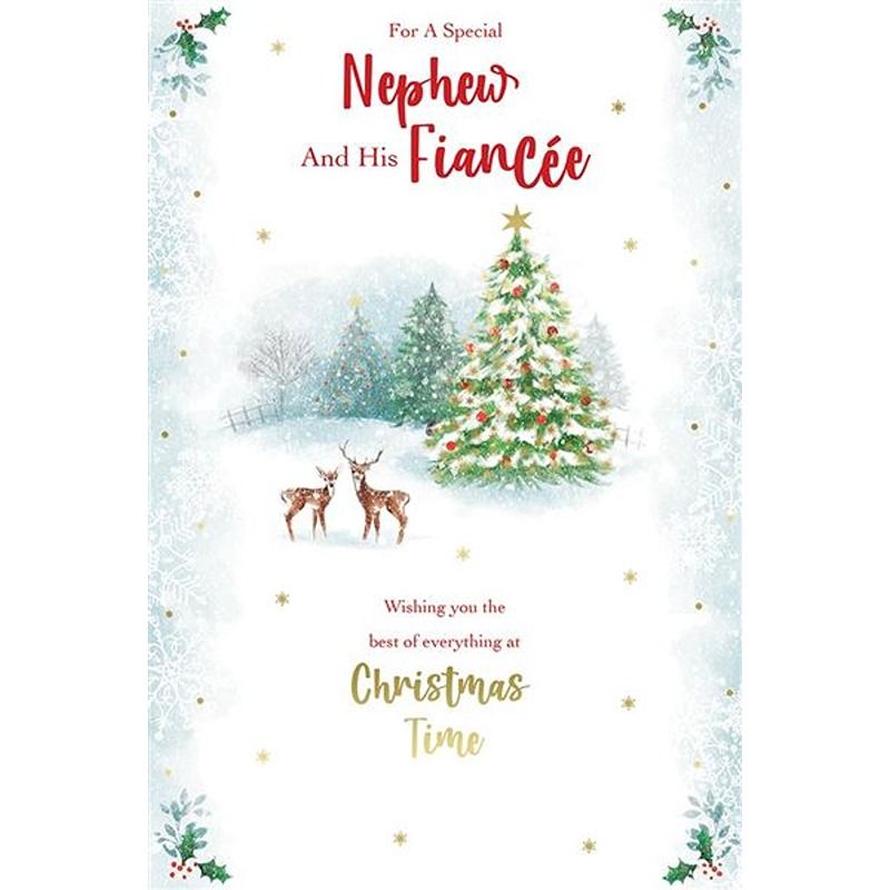 Kingfisher - Nephew And Fiancee Xmas - Code 75 - XA518