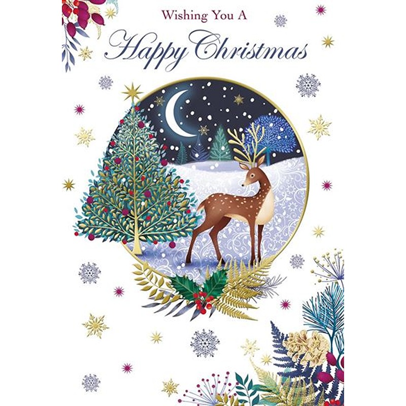 Kingfisher - Open Xmas - Code 60 - XA312
