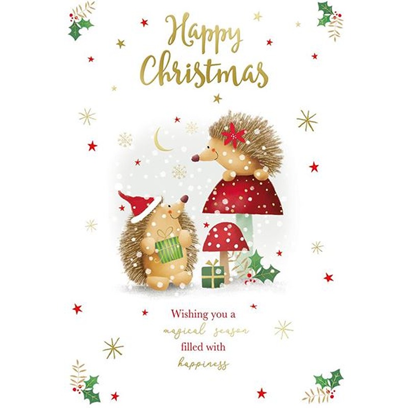 Kingfisher - Open Xmas - Code 50 - XA358