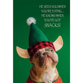Kingfisher - Open Humour Christmas - Code 50 - XA304