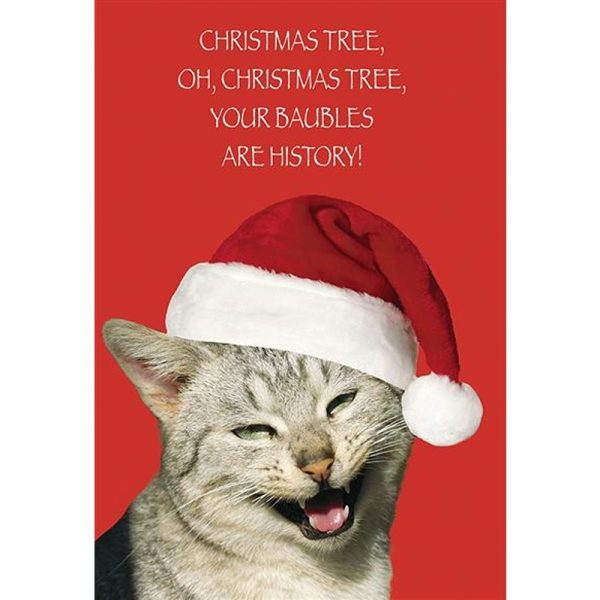 Kingfisher - Open Humour Xmas - Code 50 - XA305