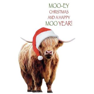 Kingfisher - Open Humour Xmas - Code 50 - XA306