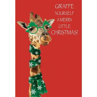 Kingfisher - Open Humour Xmas - Code 50 - XA308