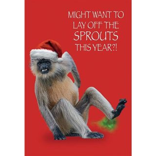 Kingfisher - Open Humour Xmas - Code 50 - XA309