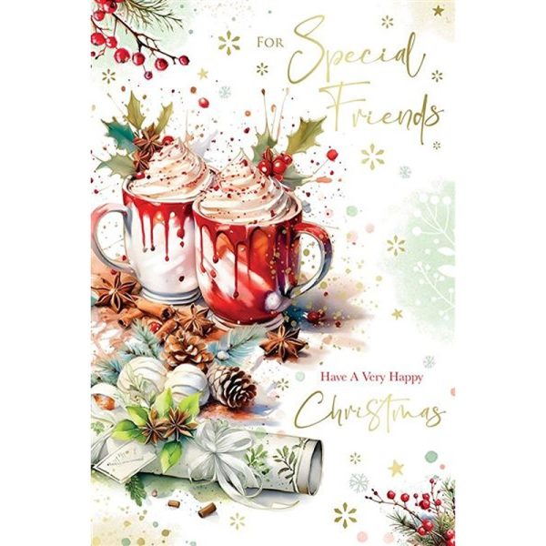 Kingfisher - Special Friends Xmas - Code 75 - XA387