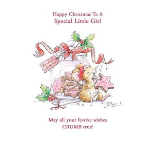 Kingfisher - Special Little Girl Xmas - Code 50 - XA422