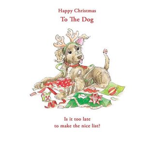 Kingfisher - To The Dog Xmas - Code 50 - XA477
