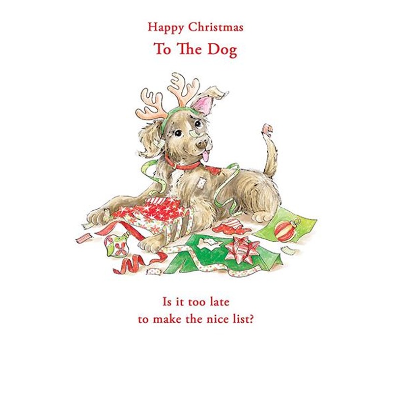 Kingfisher - To The Dog Xmas - Code 50 - XA477
