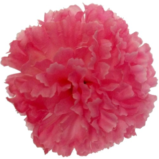 CARNATION PICK PINK 12pc - 873740