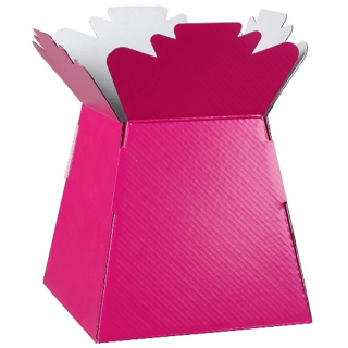 BOUQUET BOX GLOSSY FUCHSIA - 894127
