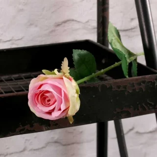 Buckingham Rose Pink-SF1056P