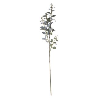 Eucalyptus Spray Grey/Green (81cm)