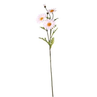 Cottage Garden  Daisy Spray