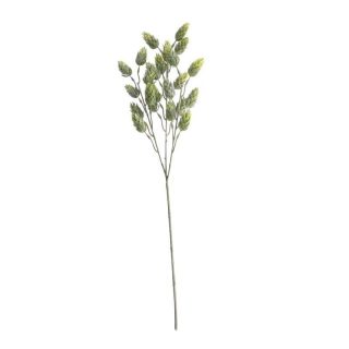 60cm Hops Spray Green