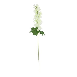 Arundel Garden Delphinium Ivory