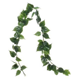 6' Philo Garland
