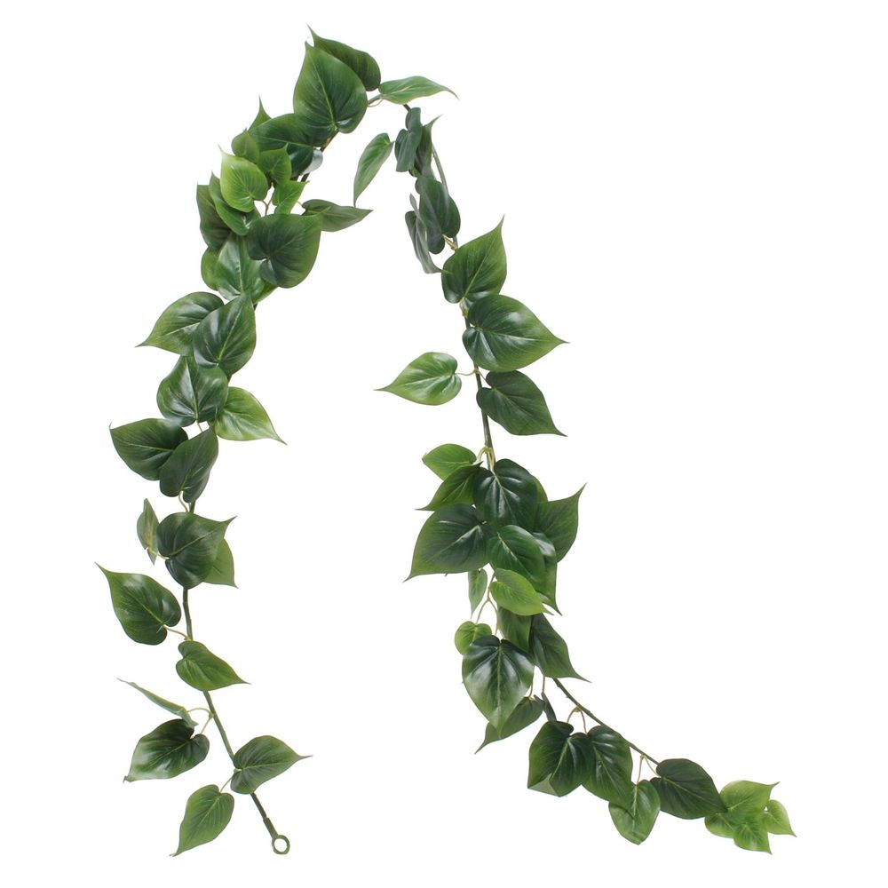 6' Philo Garland
