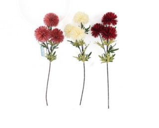 TRIPLE STEM CHRYSANTHEMUM- TJWF02