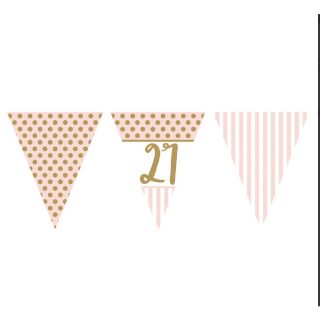 Pink Chic Age 21 Flag Bunting Metallic Print - M324