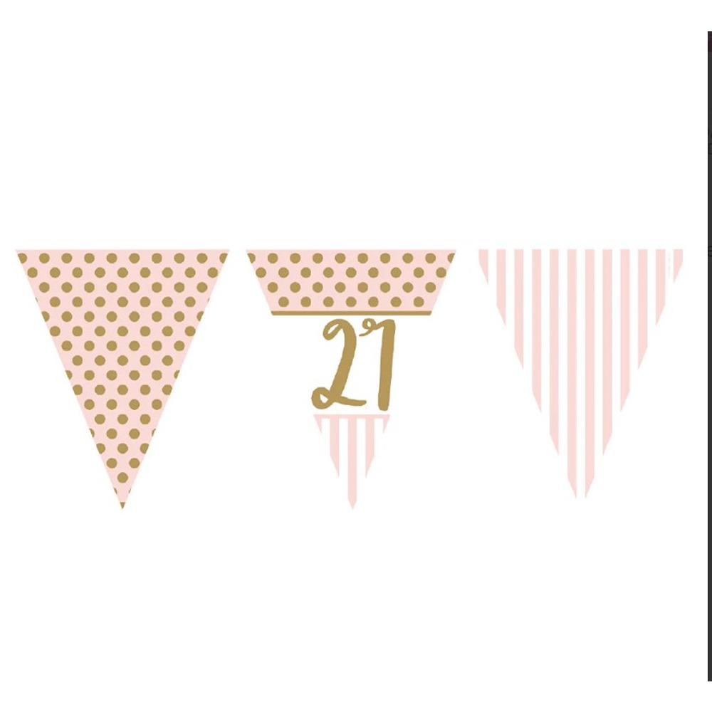 Pink Chic Age 21 Flag Bunting Metallic Print - M324