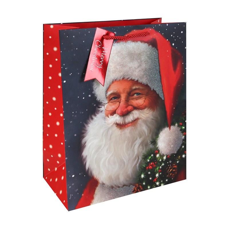 Trad Santa Large Bag (2 Assorted) - X-36032-2C